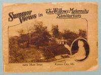 Summer Views in the Willows Maternity Sanitarium