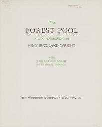 The Forest Pool