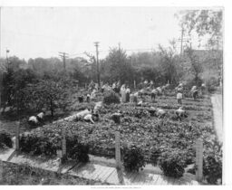 Swope School Garden