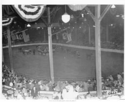 American Royal Arena Interior