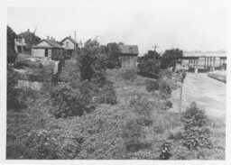 Buildings and Bridge