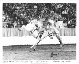 Rodeo Clown Thrown From Horse