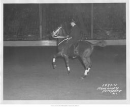 Man Riding Horse