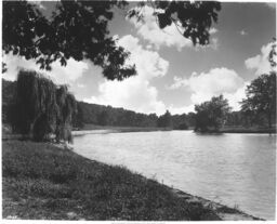 Swope Park