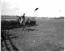 Horseback Riding Competition