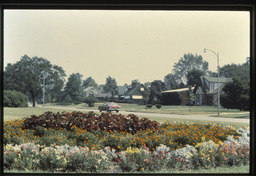 Unidentified Street and Flower Garden