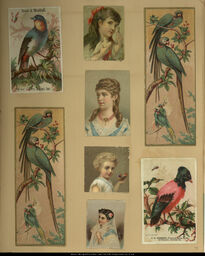 Advertising Card Scrapbook Page 79 with Women and Birds