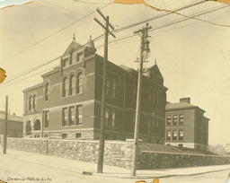 Irving School