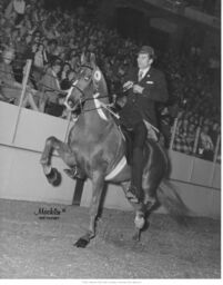 American Royal Arena Interior