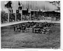 American Royal Arena Interior