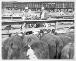 Men Touring Stockyards