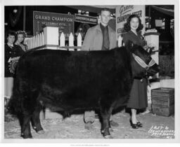 Man and Woman with Bull