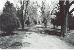 Lincoln Cemetery