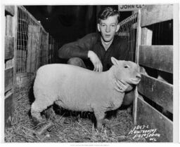 Young Man with Sheep