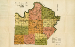 Rand McNally & Co's Map of Saline CO., Missouri