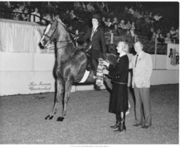 Horse Show Winner