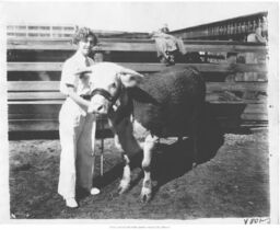 Woman with Hereford