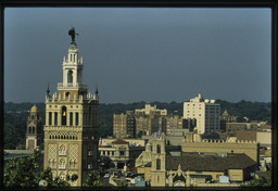 Elevated Plaza View