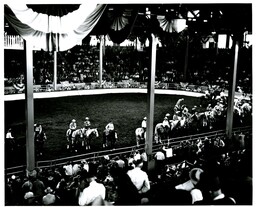 American Royal Livestock Show