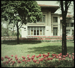 House and Tulips of Robert Sutherland