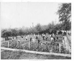 Swope School Garden