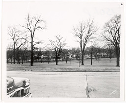 South Plaza Neighborhood Looking South from North of 51st Street