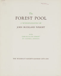 The Forest Pool