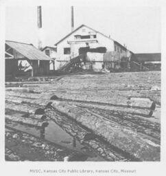 Logs Waiting to Be Processed for Lumber