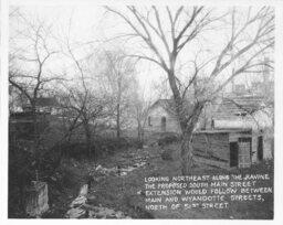 Ravine and Houses