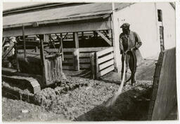 Man Cleaning Stockyards, Kansas City Area