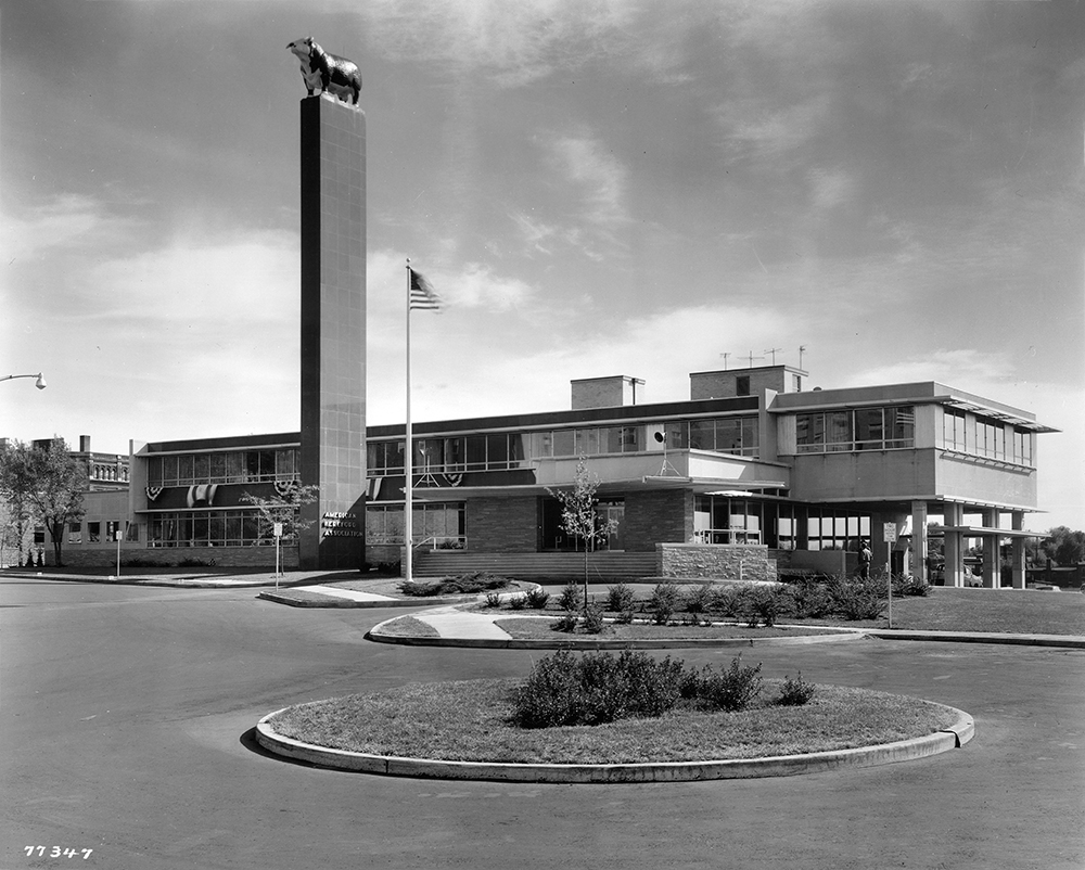 The completed AHA headquarters in 1954.