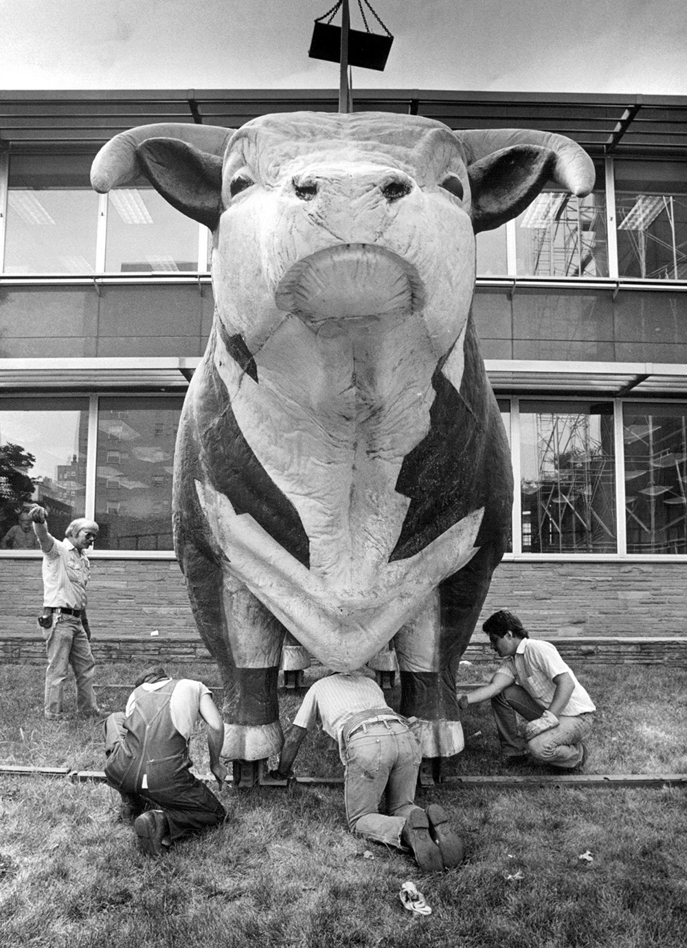 Maintenance work being performed on the bull in 1986. FILE/The Kansas City Star