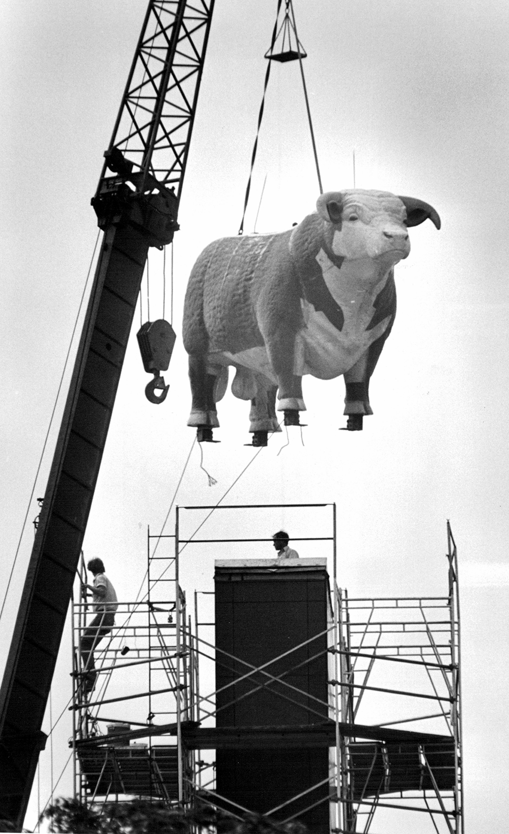 The bull being replaced atop its perch after its 1986 makeover. FILE/The Kansas City Star