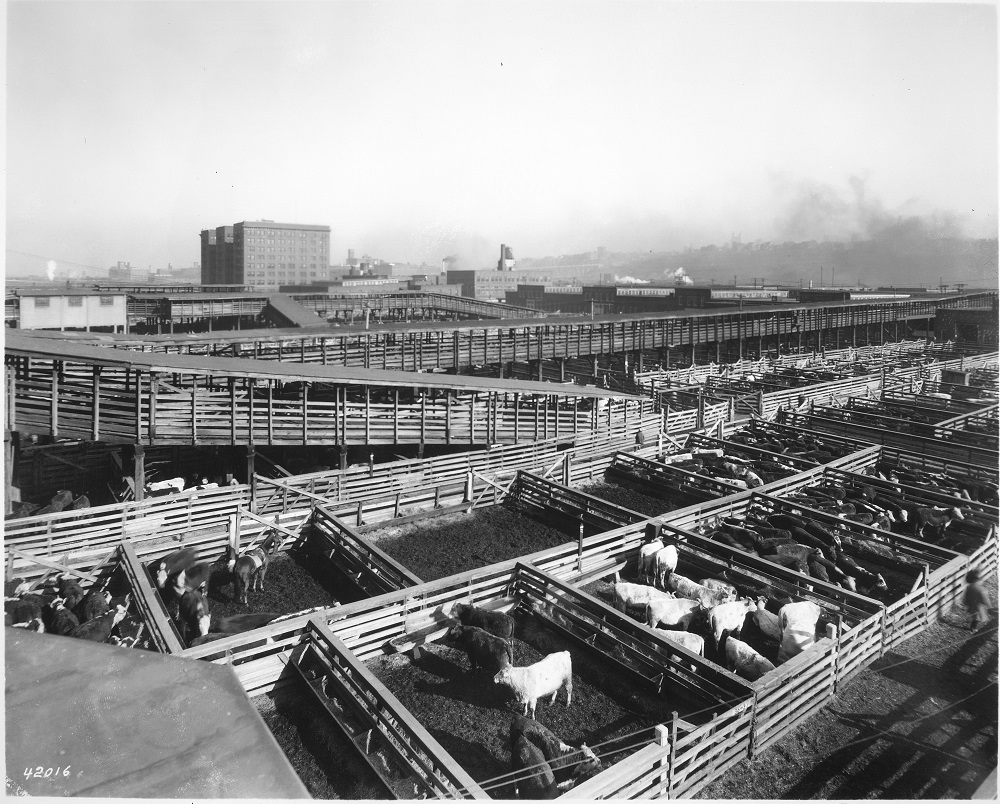 Kansas City Stockyards