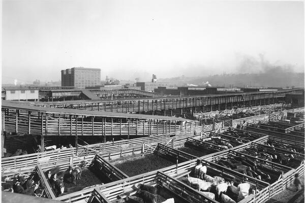 Kansas City Stockyards