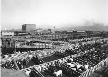 Kansas City Stockyards