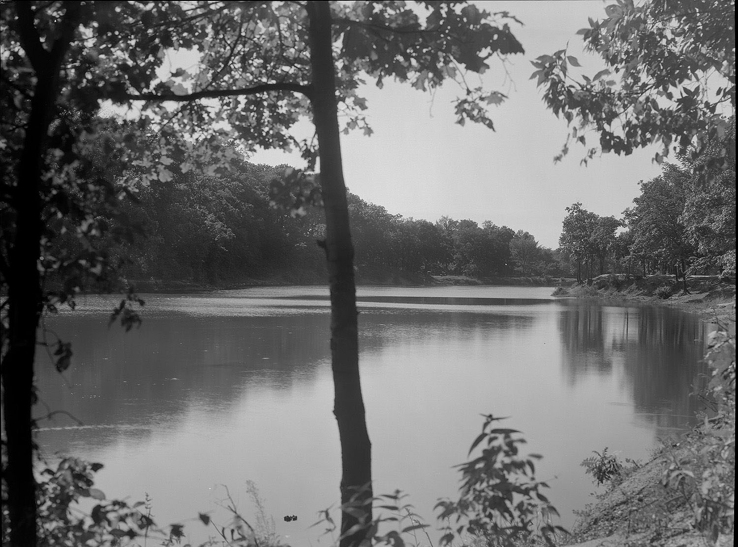 Swope Park