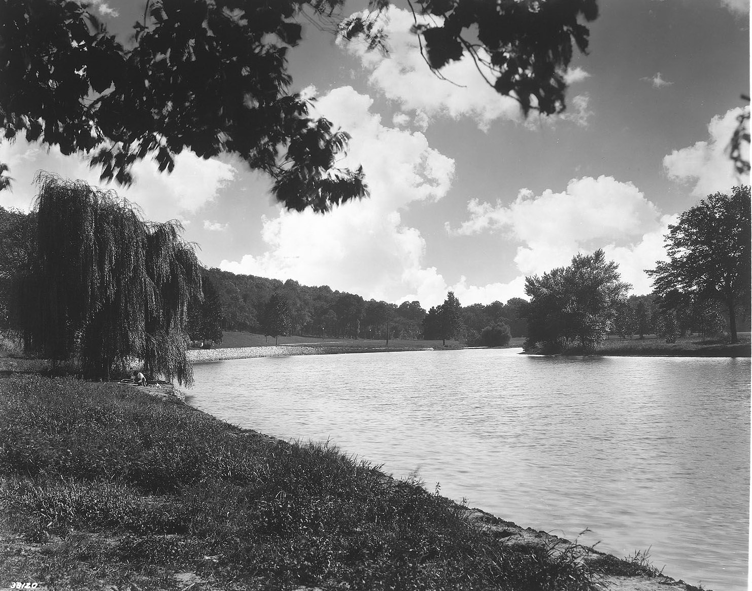 Swope Park