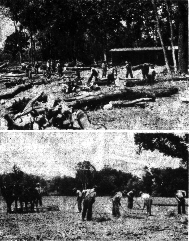 Clearing land on the Helping Hand Farm. The Kansas City Star